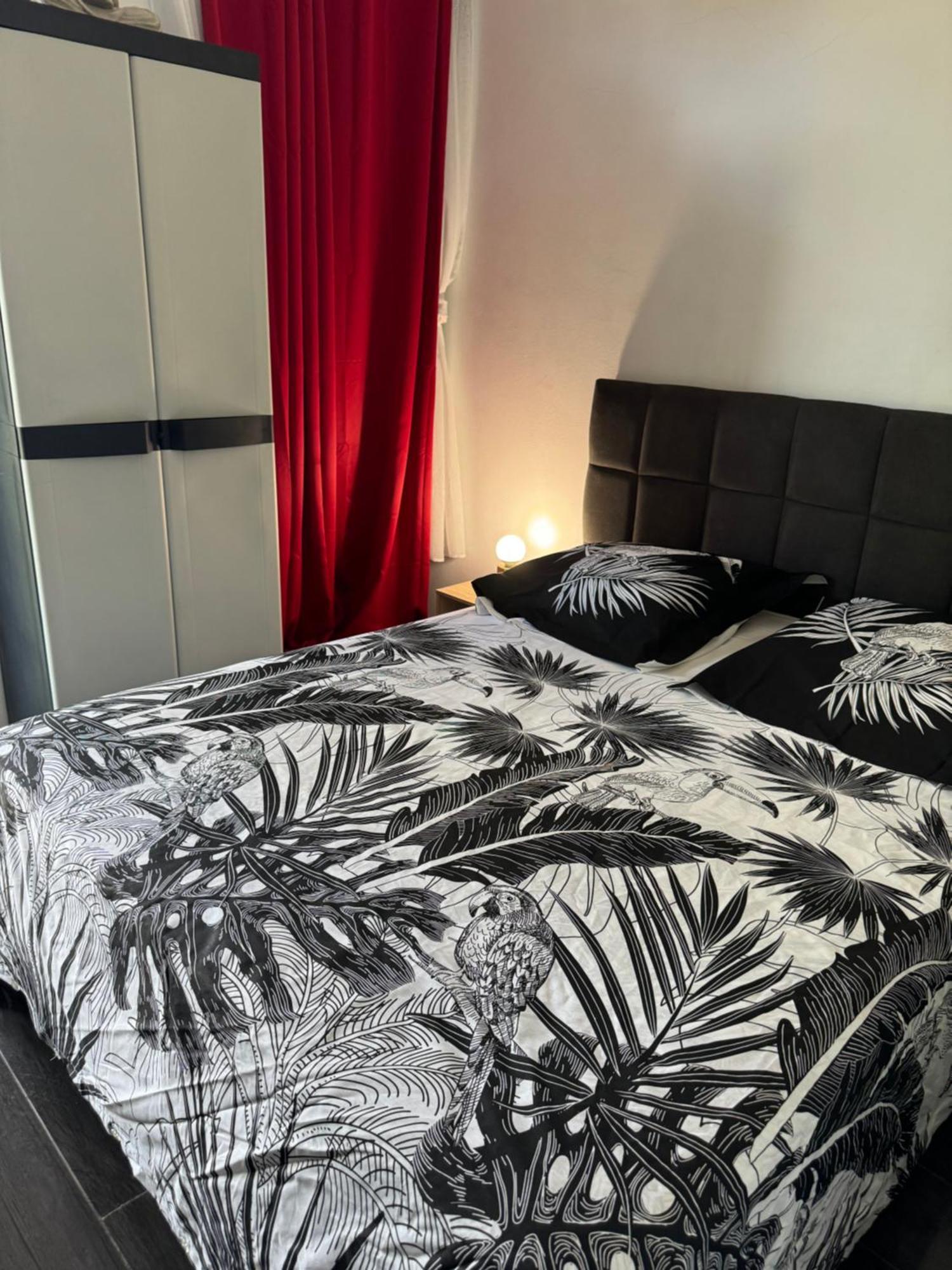 Skys Location Pakehina Bed & Breakfast Schoelcher Ngoại thất bức ảnh